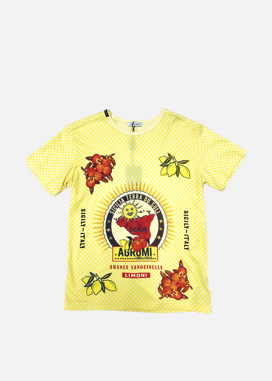 Dolce & Gabbana S/S T-SHIRT DGJ0114S0057 (L4JTL8G7XW8)