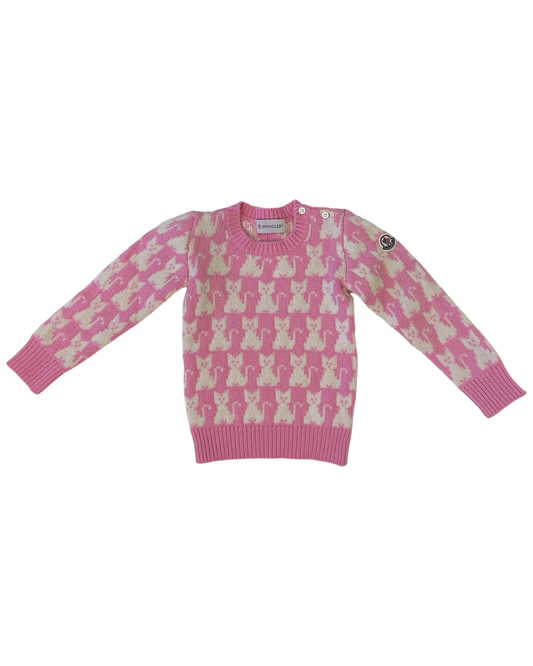 Moncler Enfant Knitwear MCL0118W0049 (D2951-9000905-948A8)