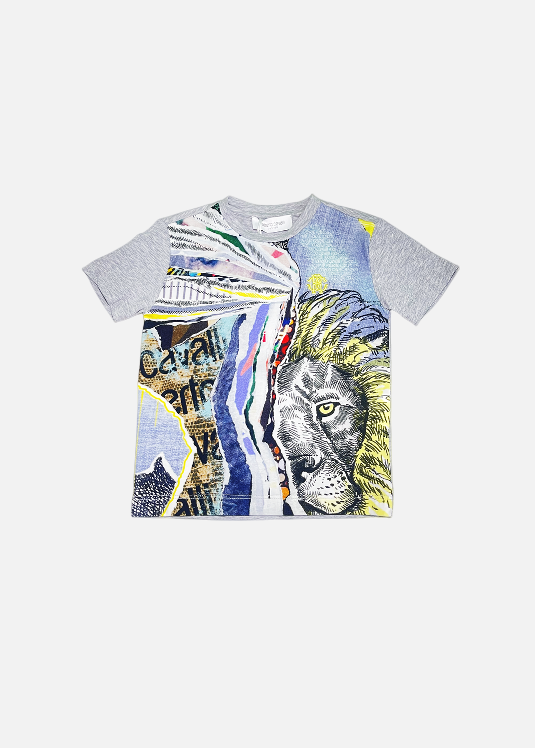 Roberto Cavalli S/S T-SHIRT CAV0119S0009 (IJT65G-JFQ89)