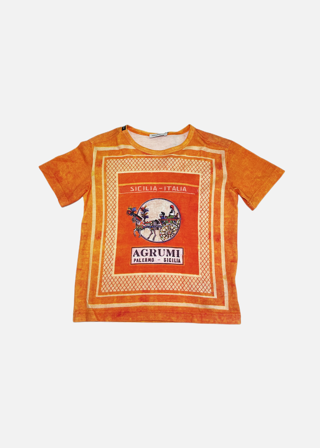 Dolce & Gabbana S/S T-SHIRT DGJ0114S0058 (L4JTL8G7XW9)